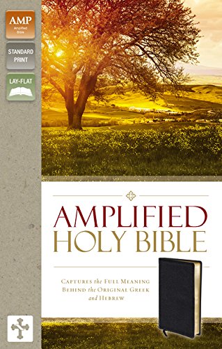 Amplified Pocket-Thin NT Zondervan